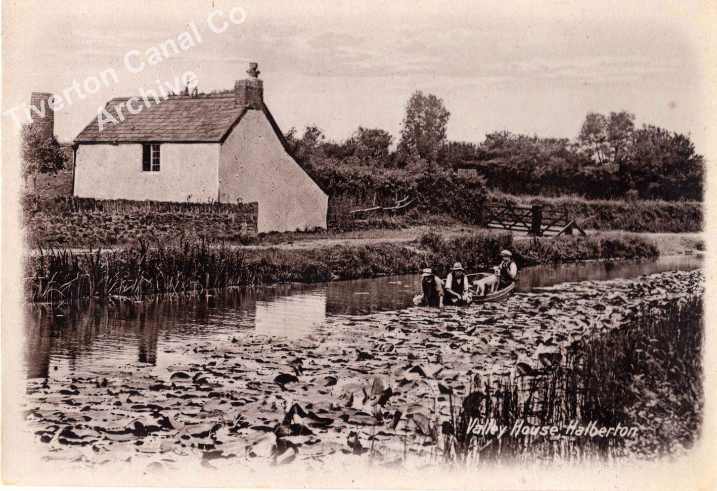 Mr Barry & Family - Lilly Harvesting c1910 (From Tiverton Canal Co Archive)